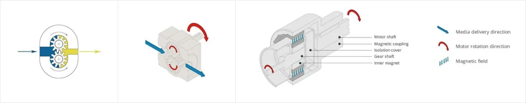 High Pressure High Precision Micro Gear Water Pump Sanitary Stainless Steel with Electro-Magnetic Drive